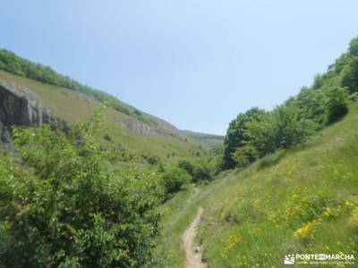 Parque Natural Montaña Palentina;excursiones por madrid y alrededores senderismo en navacerrada send